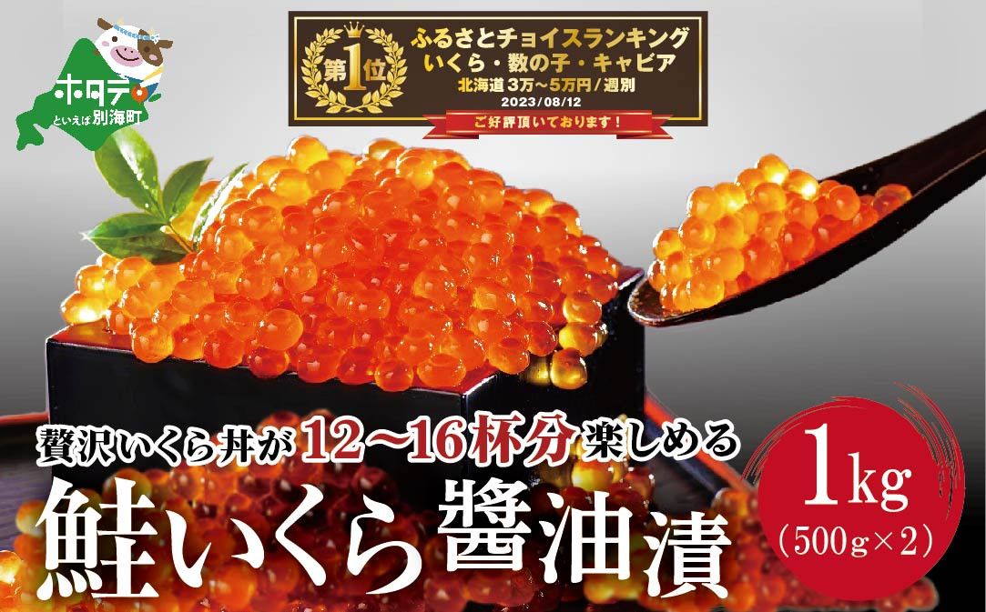 
            御礼！ランキング第１位獲得！ESSE グランプリ獲得! 2022 ふるさとグランプリ 数量限定！1kg ！ 北海道 産 絶品 鮭  いくら醤油漬け ＜いくら丼12～16杯分！＞（ イクラ 大粒 ふるさと納税 いくら 鮭 小分け 国産 いくら1kg いくら1キロ ふるさとチョイス ランキング キャンペーン やり方 限度額 仕組み シミュレーション）
          