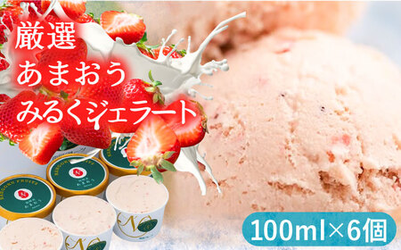 厳選あまおう ジェラート 100ml×6個 VBY002 アイス ジェラート あまおう