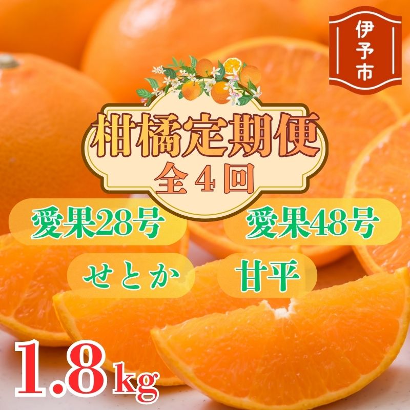 【ふるさと納税】【2026年先行予約】柑橘定期便 全4回 【12月から順次発送予定】 約1.8kg みかん 愛果28号 せとか 甘平 愛果48号 柑橘 定期 数量限定 人気 愛媛 伊予市｜E38
