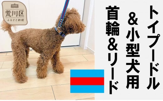 
トイプードル及び小型犬用カラー（首輪）＆リード(カラー：水色・赤・水色)
