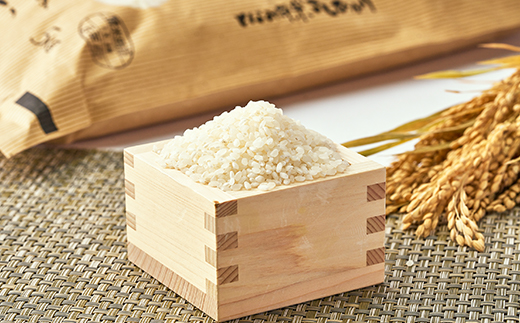 【令和7年産】となみ野米こしひかり10kg