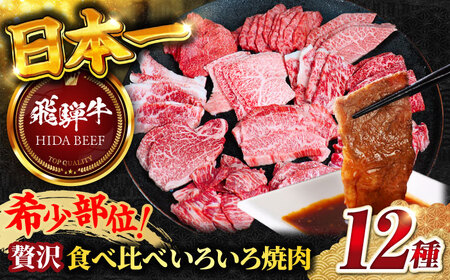 飛騨牛贅沢食べ比べ12種 飛騨牛 焼肉[ANBO028]