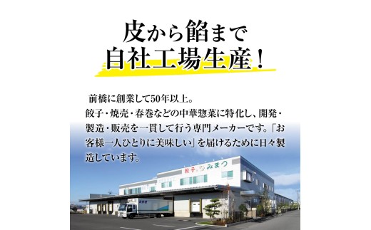 餃子 6ヶ月定期便 訳あり 100個セット 50個×2袋 | 餃子 冷凍 焼くだけ 大容量 人気 レンチン チャック付袋 ストック おいしい 国産 餃子 子ども 豚肉 鶏肉 あっさり 家族 ビール つまみ おかず 弁当 惣菜 中華 ぎょうざ みまつ食品 餃子工房RON 群馬県 前橋市