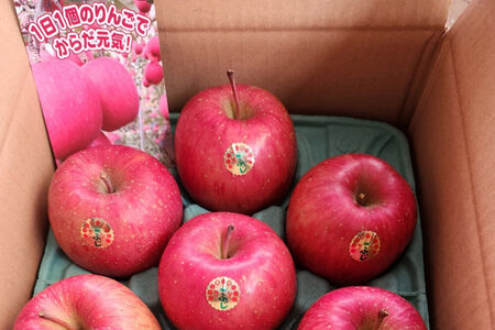 【寄附金額見直しました】【27年2月発送】りんご 葉とらずサンふじ【贈答用】約3kg