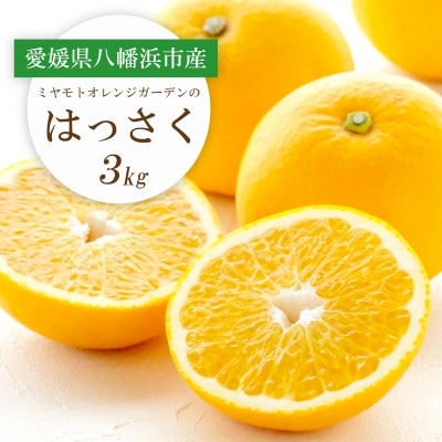 【2026年2月以降発送】ぷりぷり!酸味さわやか 八朔(はっさく)3kg【C25−187】【1609975】