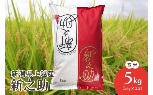 令和7年・新潟県上越産|新潟ブランド米「新之助」 玄米5kg