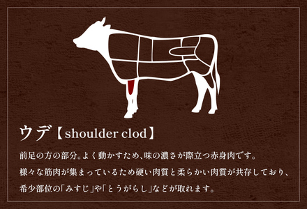 【和牛セレブ】【復興支援】能登牛 牛肩（ウデ） 焼肉 300g 牛肉 最高級 黒毛和牛 和牛 肉汁