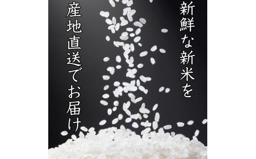 和歌山県産 キヌヒカリ 10kg(2025年産)  産地直送 米 こめ ご飯 ごはん  【sml912D】