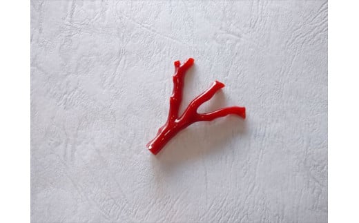 海の秘宝珊瑚：ルースA