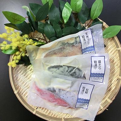 ふるさと納税 魚津市 【冷凍・小分け】粕漬け3種セット(ブリ・紅鮭・銀ダラ　各2切) |  | 01