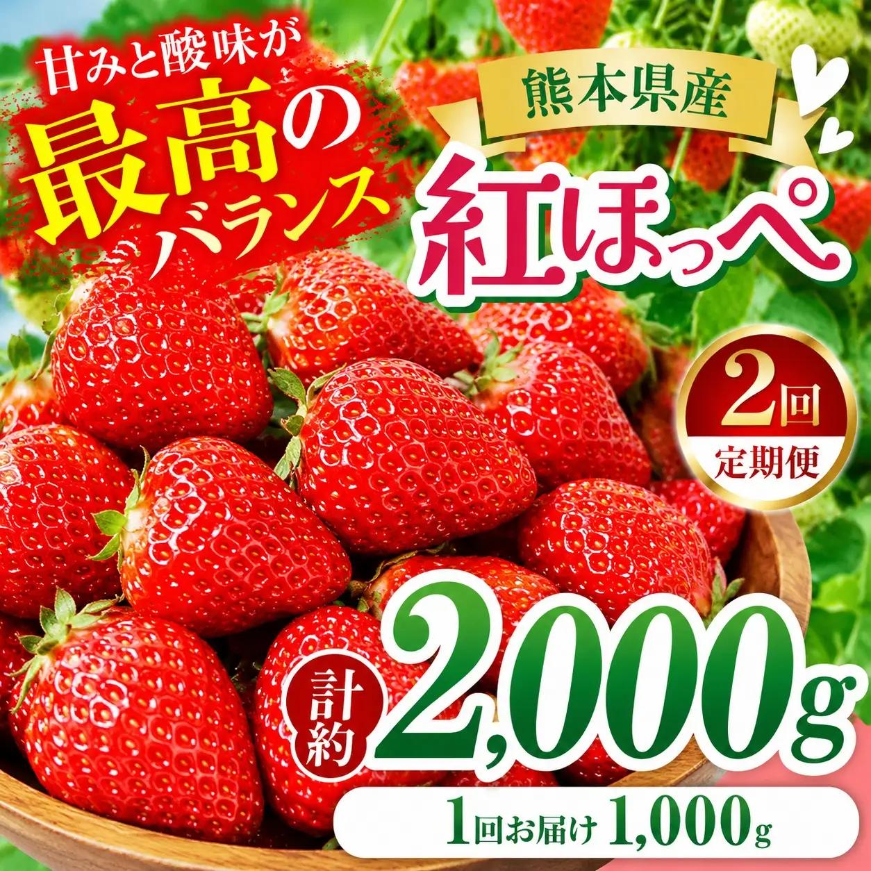 【2回定期便】いちご 紅ほっぺ 約2000g 坂田農園