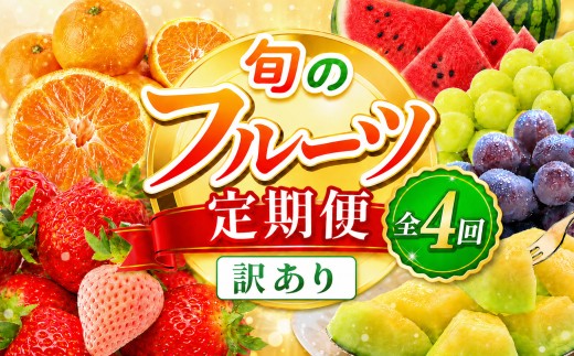 【定期便】訳あり 旬のフルーツ定期便 全4回 | （いちご みかん 不知火 スイカ ぶどう メロン ） 1年 フルーツ定期 フルーツ定期便 果物定期便 果物定期 定期便 フルーツ 果物 お試し 旬 取れたて  熊本県 玉名市