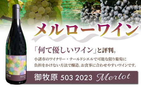【おいしい農園】メルローワイン「御牧原503」2本