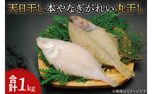 AI004　天日干　本やなぎがれい干　1kg