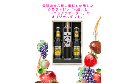 道後ジン 六媛・トニックセット（G6-200） お酒 晩酌 家飲み 宅飲み 愛媛県産素材 ボタニカル 華やかな香り 香ばしい香り キレ のかな甘み トニックウォーター 