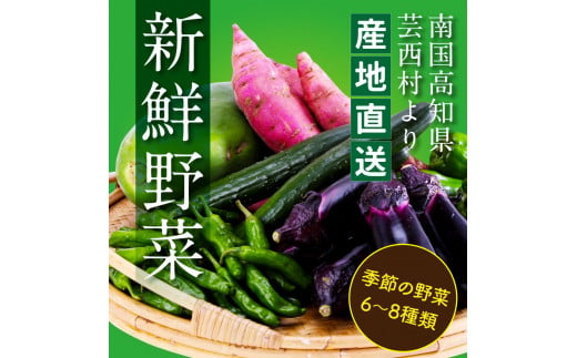 朝どれ！野菜の詰合せ／芸西村で採れた新鮮な野菜6～8種類をお届けします。