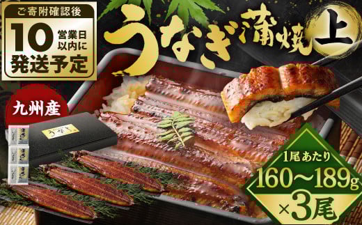 九州産 うなぎ 蒲焼 上 3尾 (1尾あたり160～189g)【順次発送】