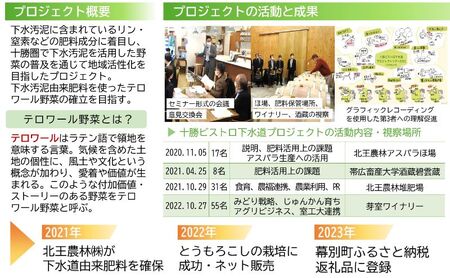 とうもろこし 恵味ゴールド 6本「じゅんかん育ち」【十勝BISTRO下水道プロジェクト】北海道 十勝 幕別町 野菜 