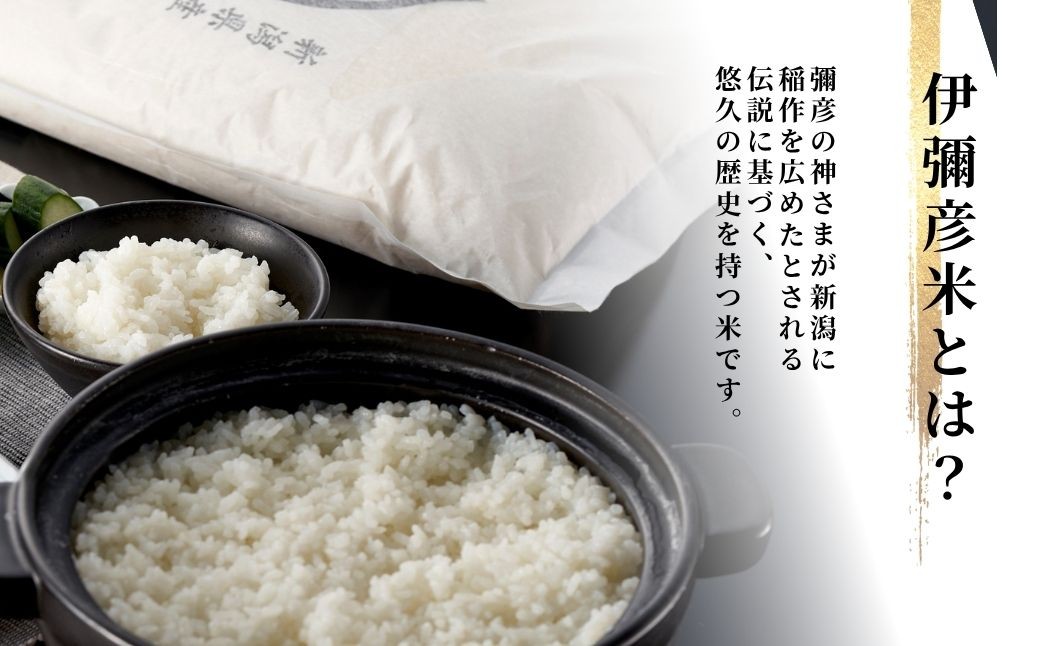 米 30kg 新潟 コシヒカリ 特別栽培米 伊彌彦米 30kg(5kg×6袋) 