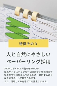 SA2684　週めくり卓上カレンダー　シューレンダー　３冊