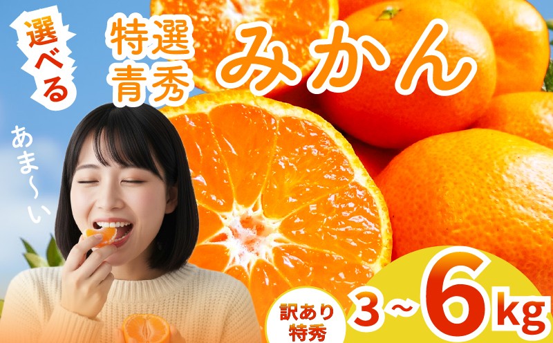 
                  【2025年12月上旬～発送】 訳あり 特秀 アカメの国農園特選みかん 3kg 5㎏ 6kg みかん ミカン 柑橘 フルーツ 果物 ワケあり 訳あり 家庭用 詰め合わせ 特秀 贈答 ギフト 甘味 酸味 甘い mikan 産地直送 農家直送 数量限定 国産 先行予約 ご家庭用 ミカン ご当地 お返し ミカン 贈り物 人気 贈答用 みかん / 安芸市 / アカメの国農園 
                