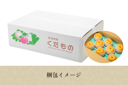 新潟県加茂市産 和梨 新興5kg（7～14玉）〈10月下旬～順次出荷〉 なし ナシ こうすい 果物 フルーツ 秋の味覚 加茂市 のざきファーム