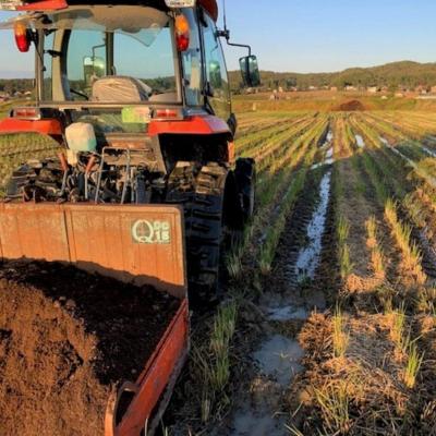 ふるさと納税 三条市 新潟県認証特別栽培米 下田コシヒカリ 10kg 令和7年産 [堀江農園]【020S050】 |  | 01