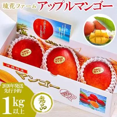マンゴー【2026年発送先行予約】アップルマンゴー秀品1kg以上