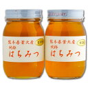 【ふるさと納税】百花蜂蜜600g×2本セット