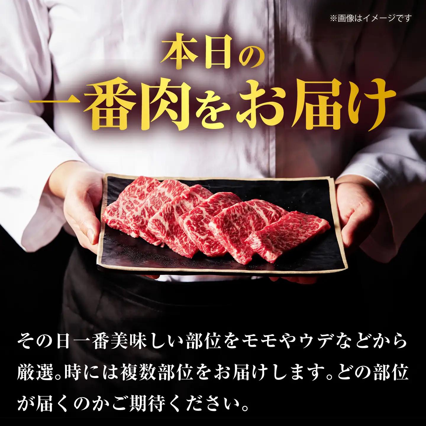 厳選佐賀牛 赤身ステーキ500g / 有限会社片岡精肉店 [41AEAC015]