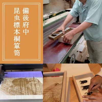 ふるさと納税 府中市 【数量限定】匠の昆虫標本桐箪笥「クワガタ3種」 |  | 01