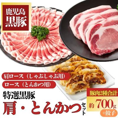 ふるさと納税 肝付町 特選黒豚　肩・とんかつセット!黒豚餃子(12個入)×1P付き　A02043