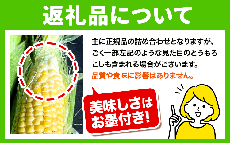 【1.4-218】石田ファーム とうもろこし詰め合わせ20本セット（数量限定）