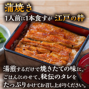 数量限定 国産うなぎ 蒲焼き(長焼き)2本 <オリジナル御朱印付き> |  明治5年創業の老舗名店 150年秘伝のタレ付き 国産養殖うなぎ 蒲焼き うな重 ひつまぶしに 栃木県 栃木市
