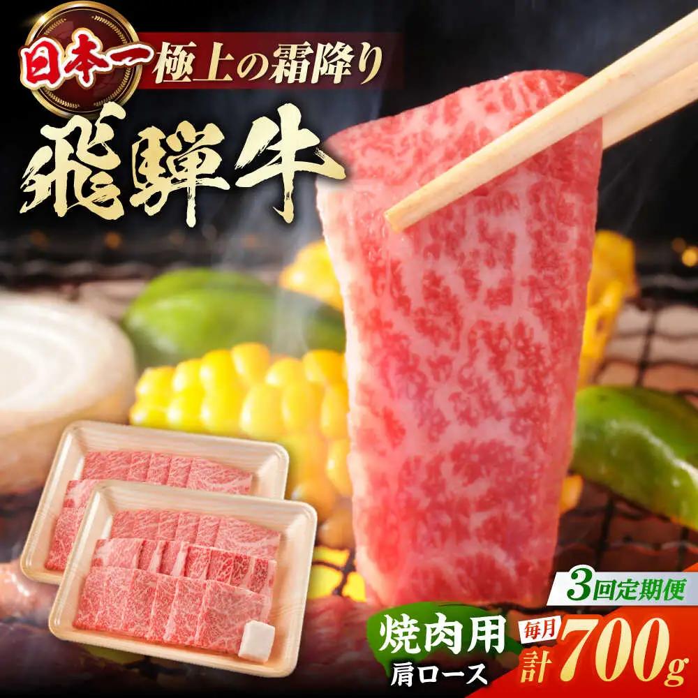 【3回定期便】飛騨牛 焼肉用肩ロース 700g / 浅井商店[AWBJ015] 飛騨牛