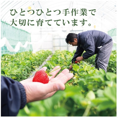 有機あまおう約250g×4パック【配送不可地域：離島】