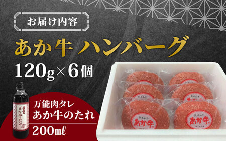 あか牛100％ハンバーグ セット 120g×6個 冷凍 個包装 あか牛のタレ付き ギフト大賞ハンバーグ ギフトハンバーグ 熊本ハンバーグ 赤牛ハンバーグ 褐牛ハンバーグ あかうしハンバーグ 褐毛和種ハ