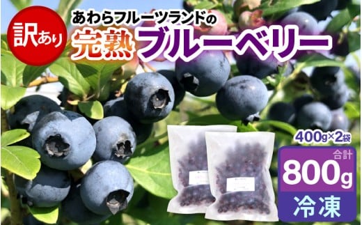 【先行予約】【訳あり】【冷凍】あわらフルーツランドのブルーベリー 400g×2袋（800g）【完熟】 / フルーツ 果物 くだもの 福井県 あわら市 小分け 便利 たっぷり 完熟 ご当地 国産 おすすめ ※2026年8月上旬より順次発送 [aw091-a002]