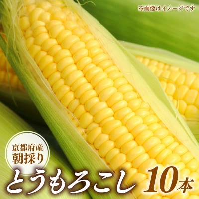 京都府久御山町 とうもろこし 10本【配送不可地域：離島・北海道・沖縄県・東北】
