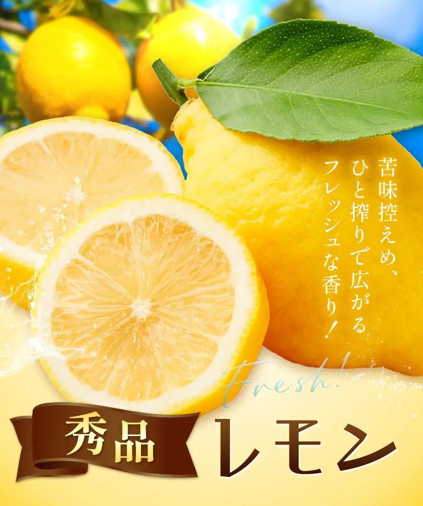 レモン 秀品 2kg 株式会社農業福祉研究機構