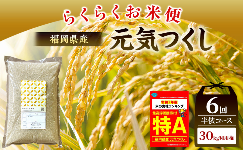 米 らくらくお米便 計30kg 元気つくし ( 5kg × 6回 )
