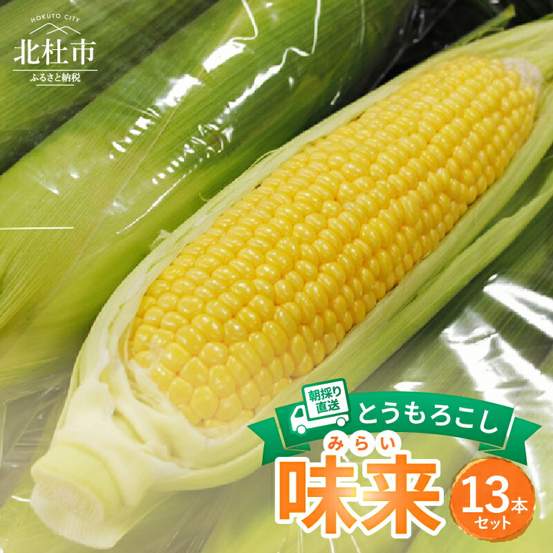 【ふるさと納税】 とうもろこし 13本 セット 朝採り 直送 味来（みらい） ミラクルスイートコーン 北杜市産 コーン 2026先行予約 期間限定 数量限定 冷蔵発送 送料無料