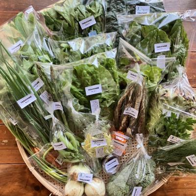 ふるさと納税 香川県 旬を楽しむTAGATAMEのおまかせお野菜セット(15品以上) |  | 01