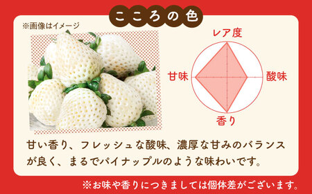 【R8年1月以降発送】こころの色×かおり野 紅白いちごセット  計920g （こころの色220g×2パック、かおり野240g×2パック） 【StrawberryFarm-K】紅白いちご 希少 いちご 