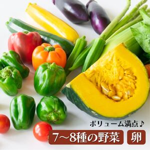 野菜 定期便 卵付き 旬の野菜セット 2人用 6ヶ月定期便 益子町 AA034