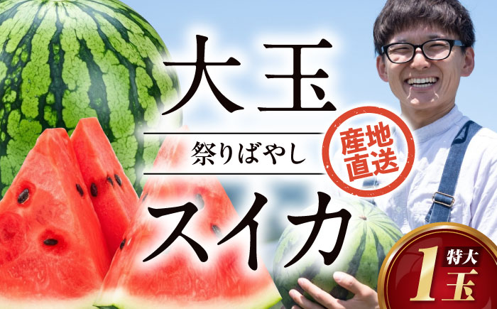 【先行予約】【2026年6月上旬から順次発送】 特大スイカ【祭りばやし】特大（11〜13kg）×1玉 すいか 西瓜 フルーツ 果物 くだもの 愛媛県大洲市/ふじた農園 [AGDH005]