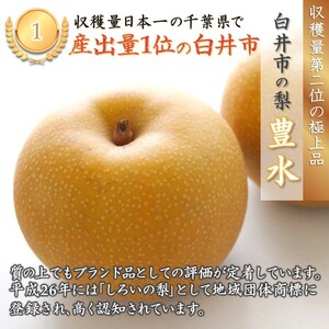 【予約受付】しろいの梨 豊水 5kg 12～16玉 しろいの梨