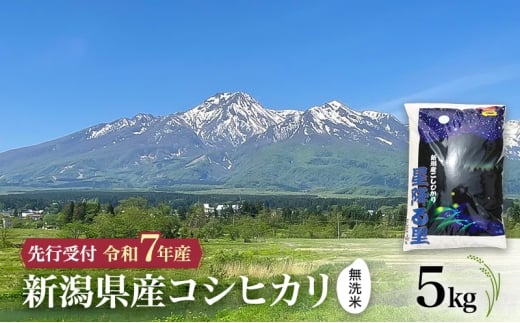 【先行予約 令和7年産 | 無洗米 コシヒカリ】10月中旬より順次発送　無洗米　新潟県産コシヒカリ 5kg 上越市 米 こめ コメ お取り寄せ