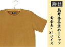 【ふるさと納税】熊野番茶染め　Tシャツ　金茶色（チタン媒染）（XLサイズ）