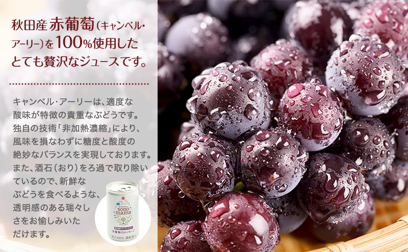 《 定期便 3ヵ月 》赤葡萄ジュース「sonomama」（160g×20本）ぶどう ブドウ ジュース ぶどうジュース 飲料